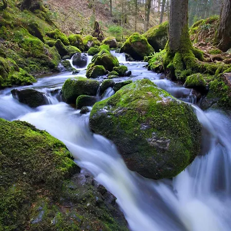 Hofgut Sternen - Ravennaschlucht 4*