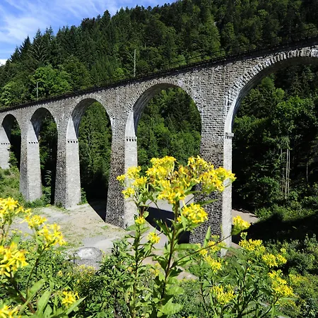 Hofgut Sternen - Ravennaschlucht 4* Breitnau