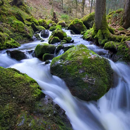 Hofgut Sternen - Ravennaschlucht 4* Breitnau