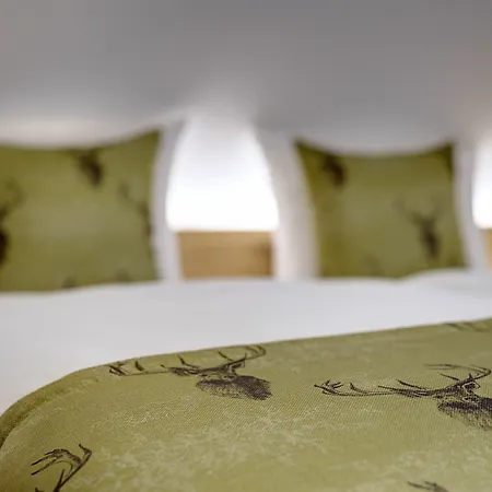Hofgut Sternen - Ravennaschlucht 酒店 4*