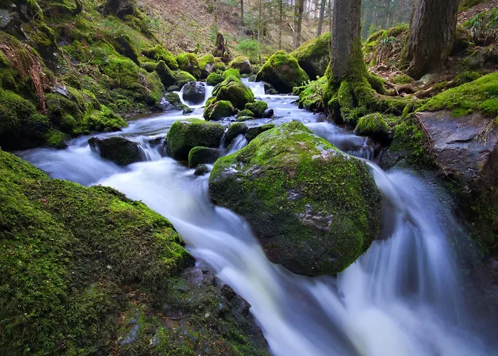 Hofgut Sternen - Ravennaschlucht 4*