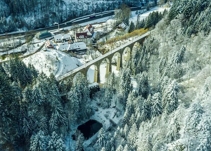 Hofgut Sternen - Ravennaschlucht Hotel 4*