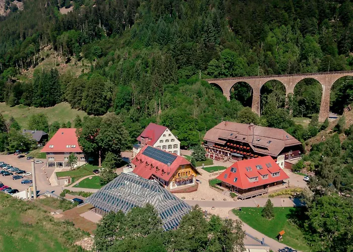 Hofgut Sternen - Ravennaschlucht 4* Breitnau